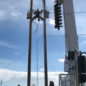 Meet your Posher, Bud